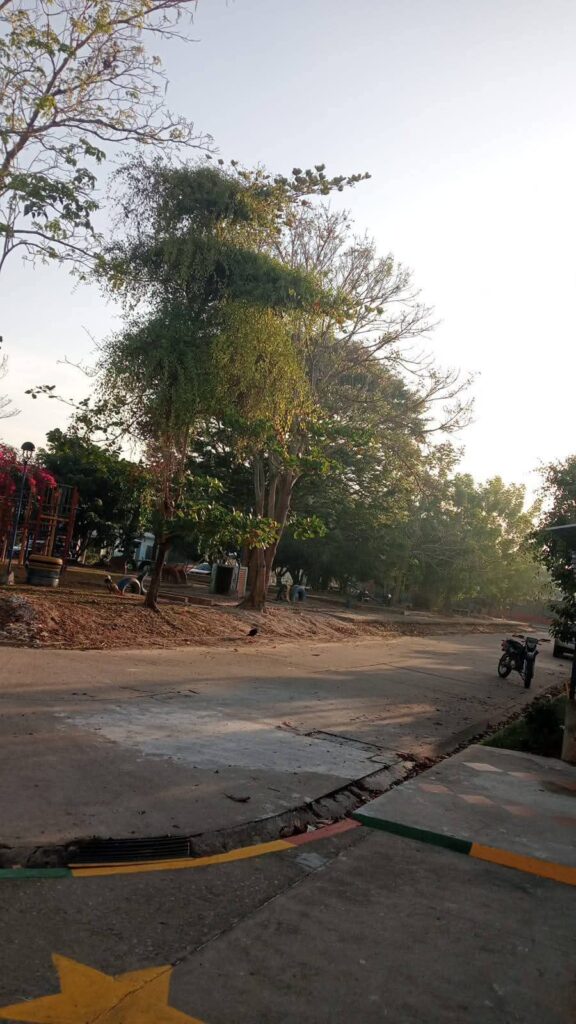 1000724007-576x1024 Quemas afectan sector residencial en Arauca